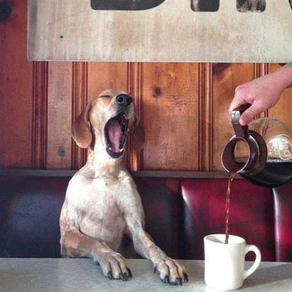 Meet the Posher - Picture 1 of 1